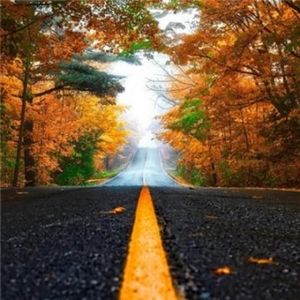 Meet your Posher, Aldin